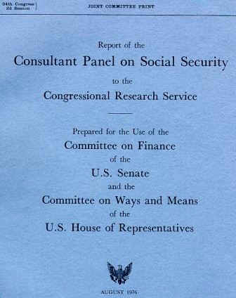 cover of consultants report