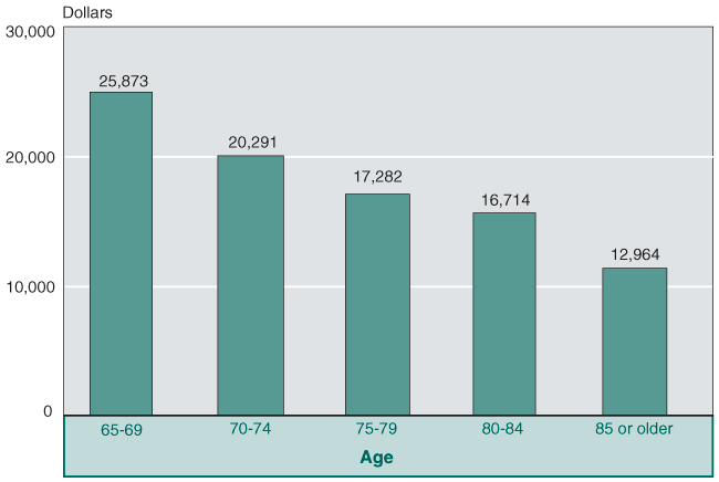 Bar chart showing median income by age: age 65 to 69, $25,873; age 70 to 74, $20,291; age 75 to 79, $17,282; age 80 to 84, $16,714; and age 85 or older, $12,964.